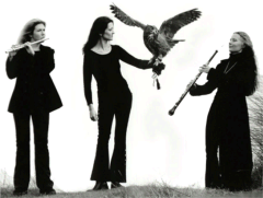 The Prey Trio: Susan Doyle, Sile Daly and Deirdre O’Leary.